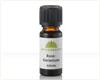Rosen-geranium duftolie
